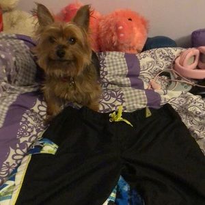 My ex’s zero x posur